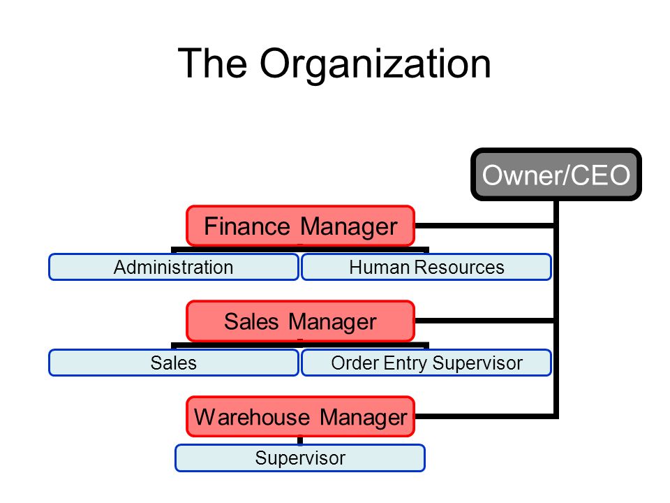 The Organization Owner/CEO Finance Manager Administration Human Resources Sales Manager Sales Order Entry Supervisor Warehouse Manager Supervisor