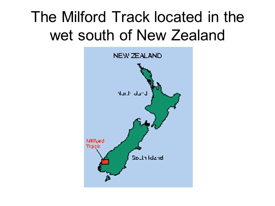The Milford Track located in the wet south of New Zealand