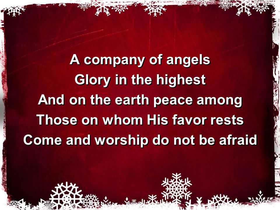 A company of angels Glory in the highest And on the earth peace among Those on whom His favor rests Come and worship do not be afraid A company of angels Glory in the highest And on the earth peace among Those on whom His favor rests Come and worship do not be afraid