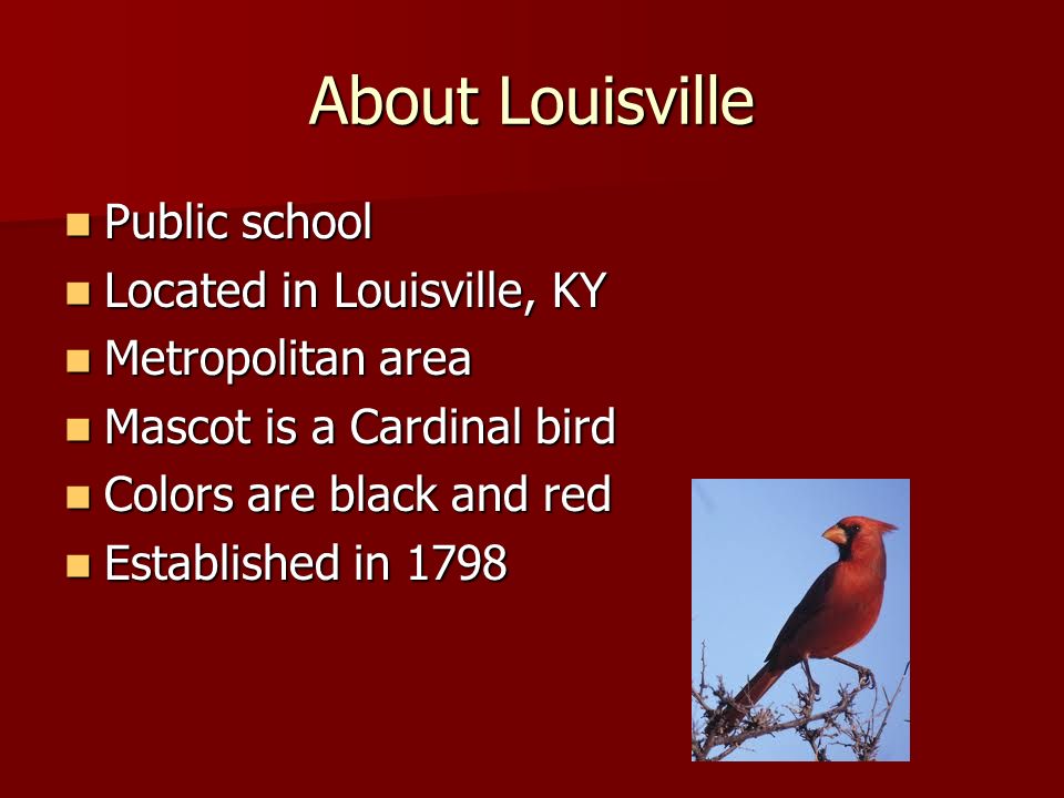 University of Louisville Cardinals By: Alejandro N. - ppt download