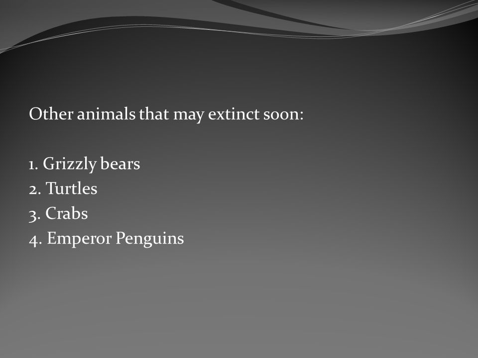 Other animals that may extinct soon: 1. Grizzly bears 2. Turtles 3. Crabs 4. Emperor Penguins