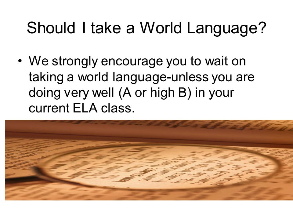 Should I take a World Language.