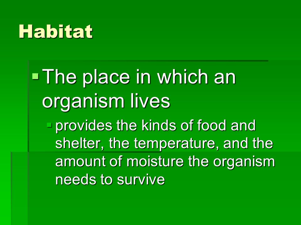 Habitat  The place in which an organism lives  provides the kinds of food and shelter, the temperature, and the amount of moisture the organism needs to survive