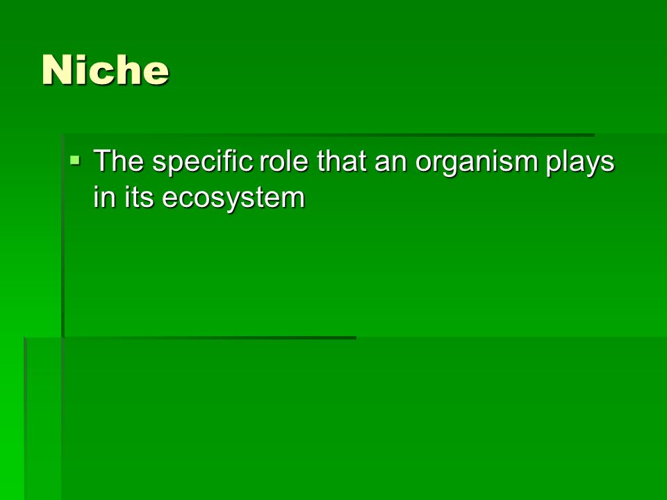 Niche  The specific role that an organism plays in its ecosystem