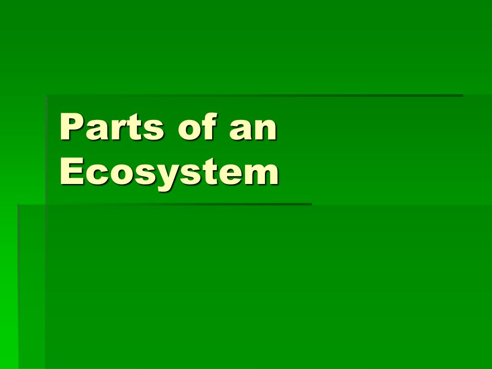 Parts of an Ecosystem
