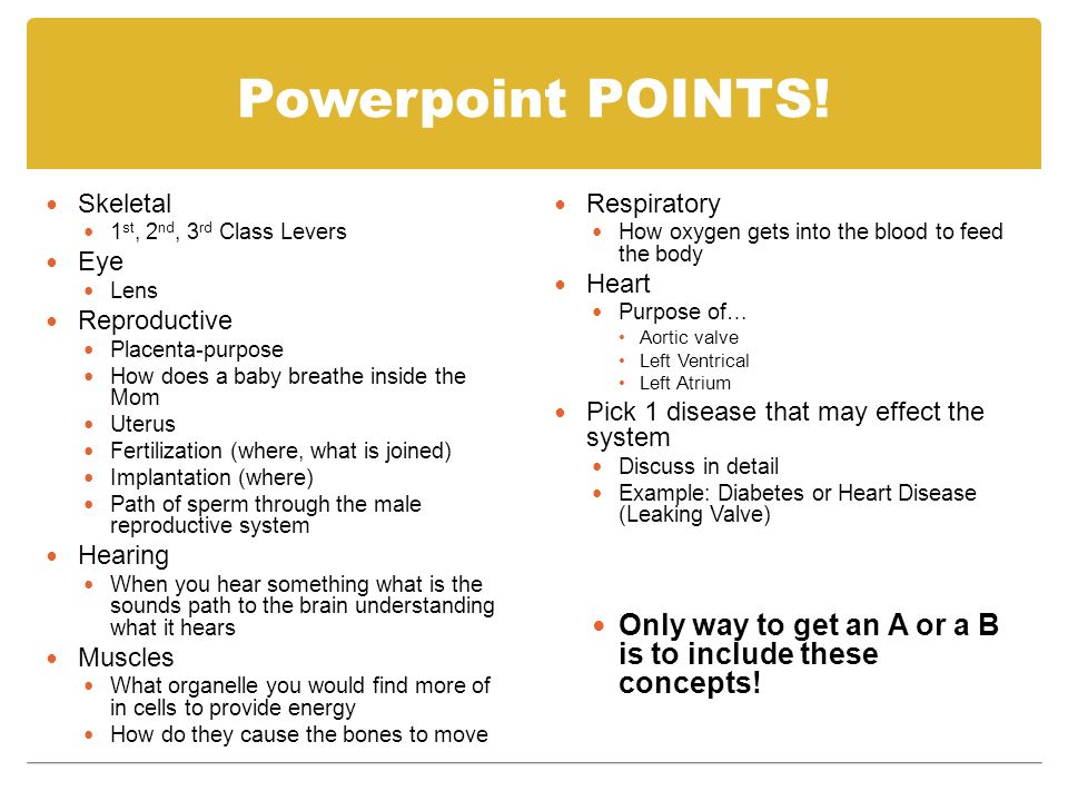 Powerpoint POINTS.
