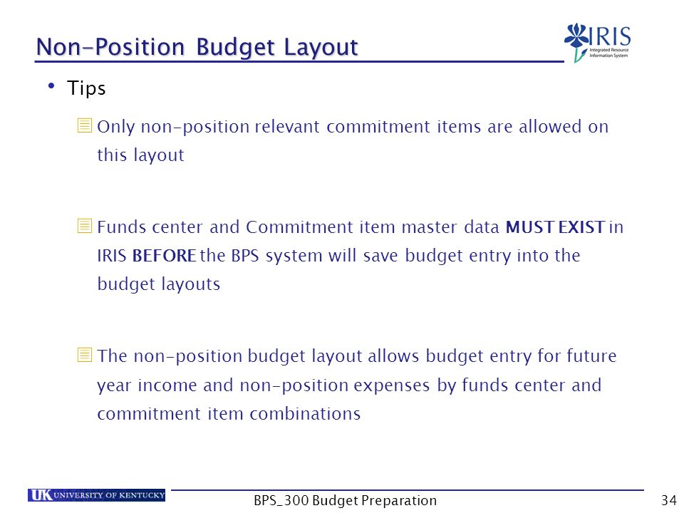 bps 300 budget preparation1 bps 300 business planning simulation