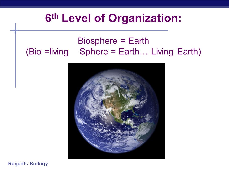 Regents Biology 5 th Level of Organization Biome Biomes may be terrestrial (land) or marine(water) determined by their geography and climate