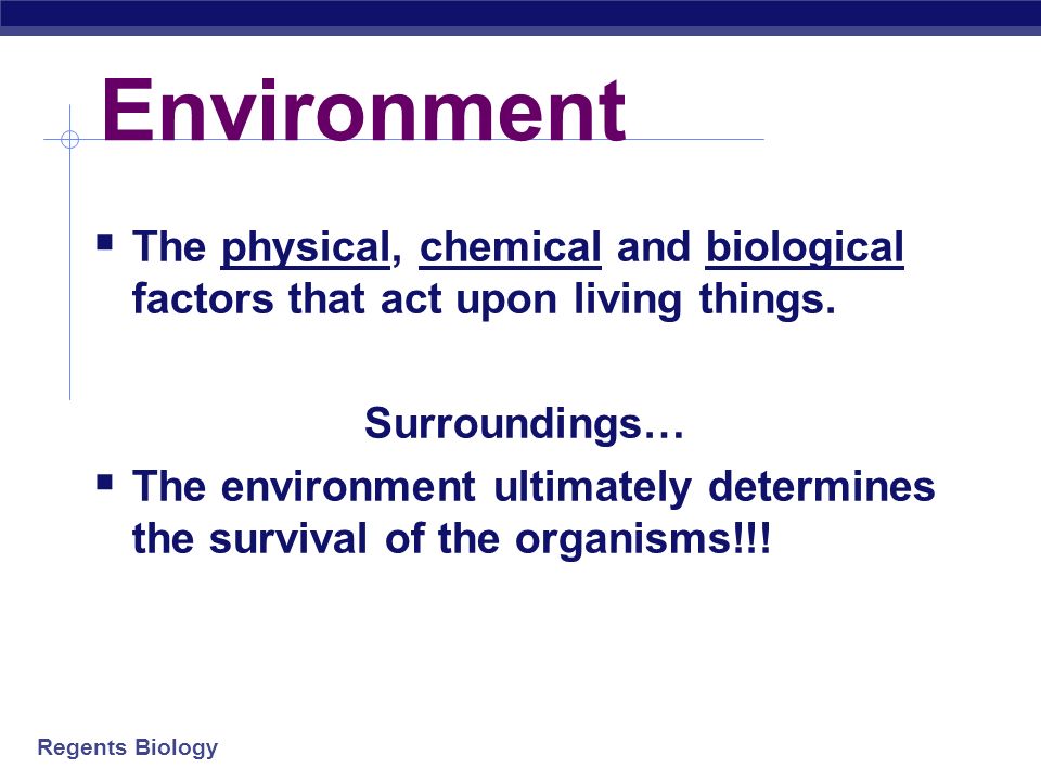 Ecology  study of interactions between the living creatures (biotic factors) & the nonliving factors (abiotic), because… Everything is connected to everything else