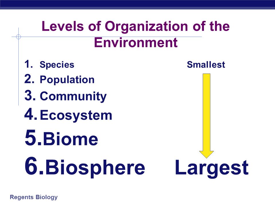 Regents Biology Environment  The physical, chemical and biological factors that act upon living things.