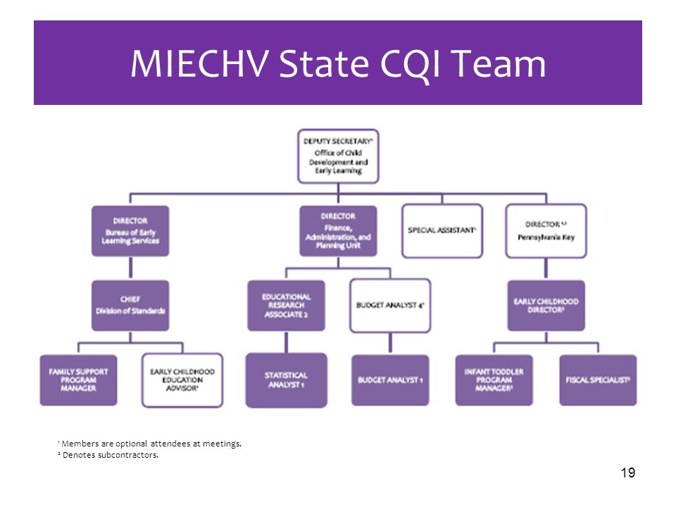 19 1 Members are optional attendees at meetings. 2 Denotes subcontractors. MIECHV State CQI Team