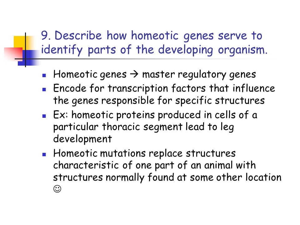 9. Describe how homeotic genes serve to identify parts of the developing organism.