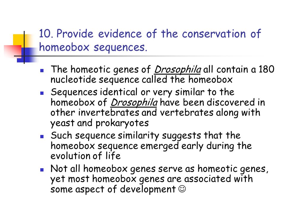 10. Provide evidence of the conservation of homeobox sequences.