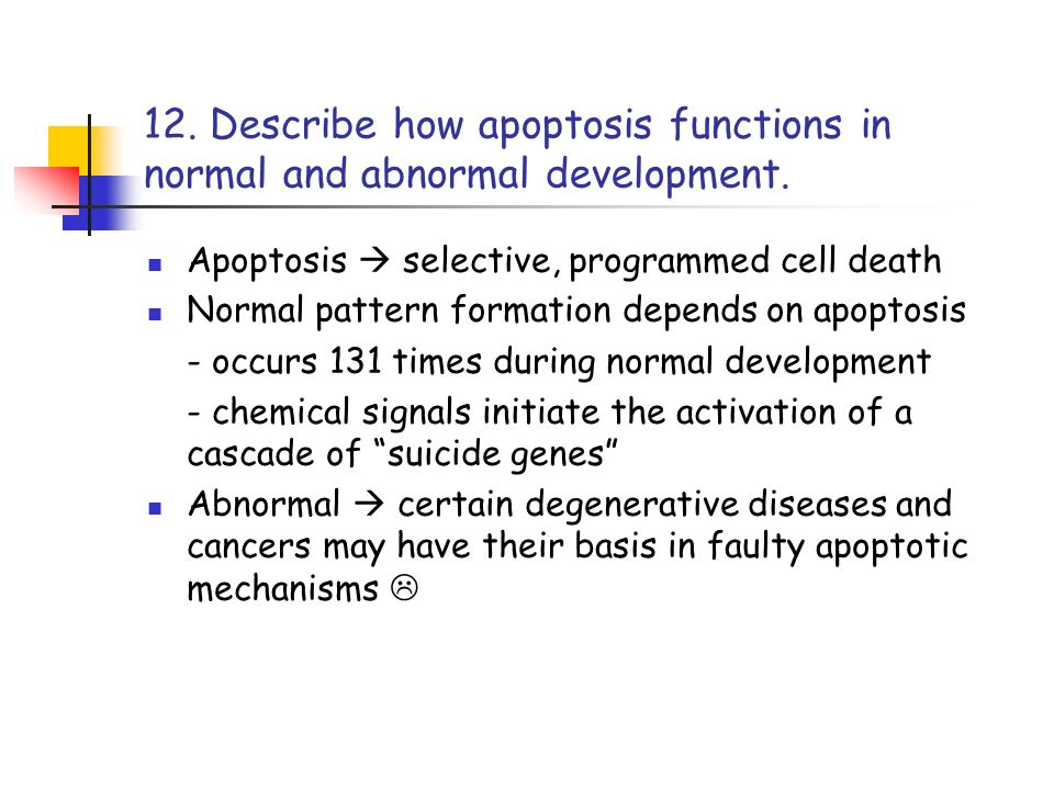12. Describe how apoptosis functions in normal and abnormal development.
