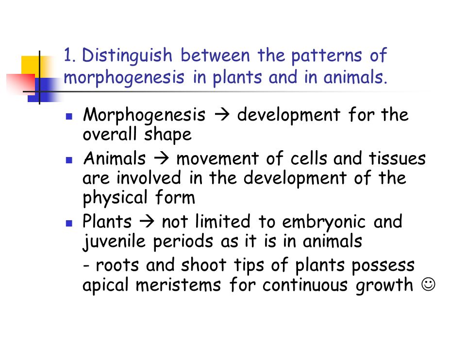 1. Distinguish between the patterns of morphogenesis in plants and in animals.