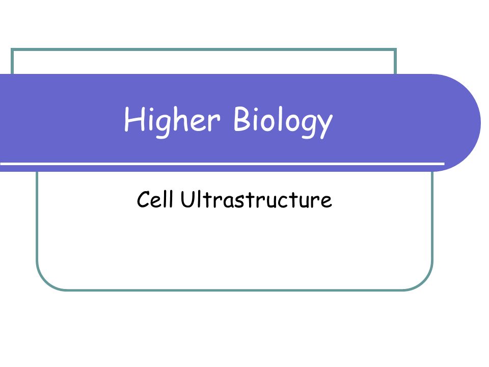 Higher Biology Cell Ultrastructure