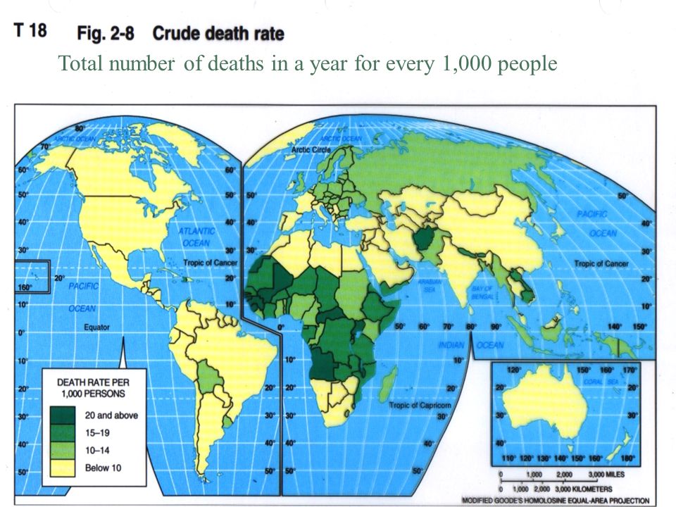 Total number of deaths in a year for every 1,000 people