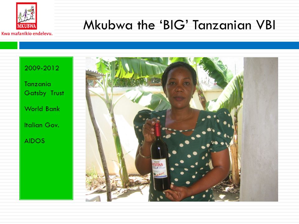 Mkubwa the ‘BIG’ Tanzanian VBI Tanzania Gatsby Trust World Bank Italian Gov. AIDOS
