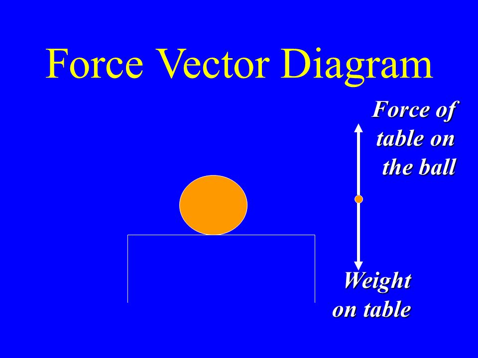 Force Vector Diagram Weight on table Force of table on the ball