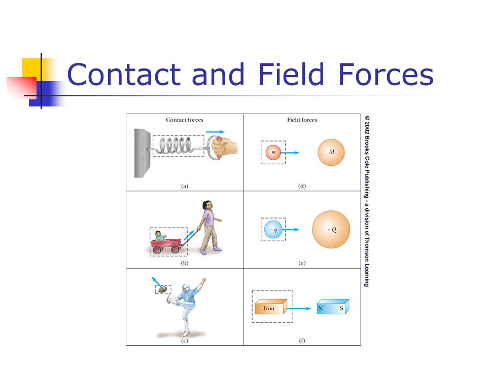 Contact and Field Forces