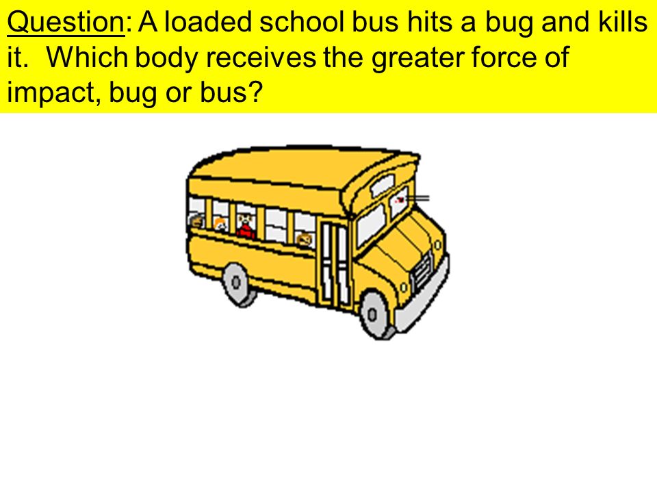 Question: A loaded school bus hits a bug and kills it.
