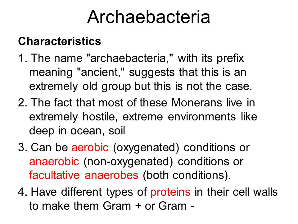 Archaebacteria Characteristics 1.