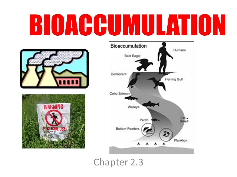 chemical pollutants examples Chemical pollution cedre.
