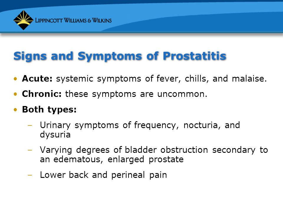 prostatitis influenza
