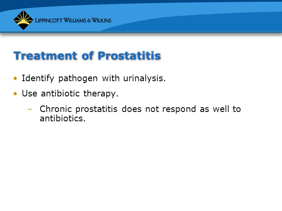 prostatitis influenza