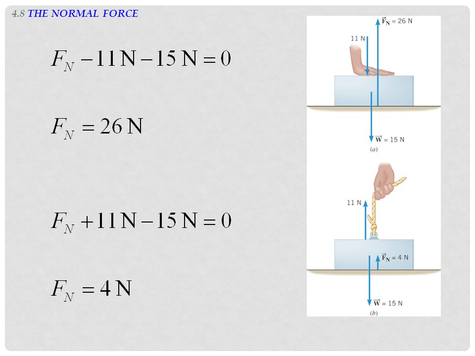 4.8 THE NORMAL FORCE