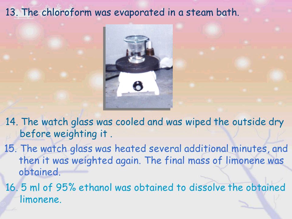 13. The chloroform was evaporated in a steam bath.