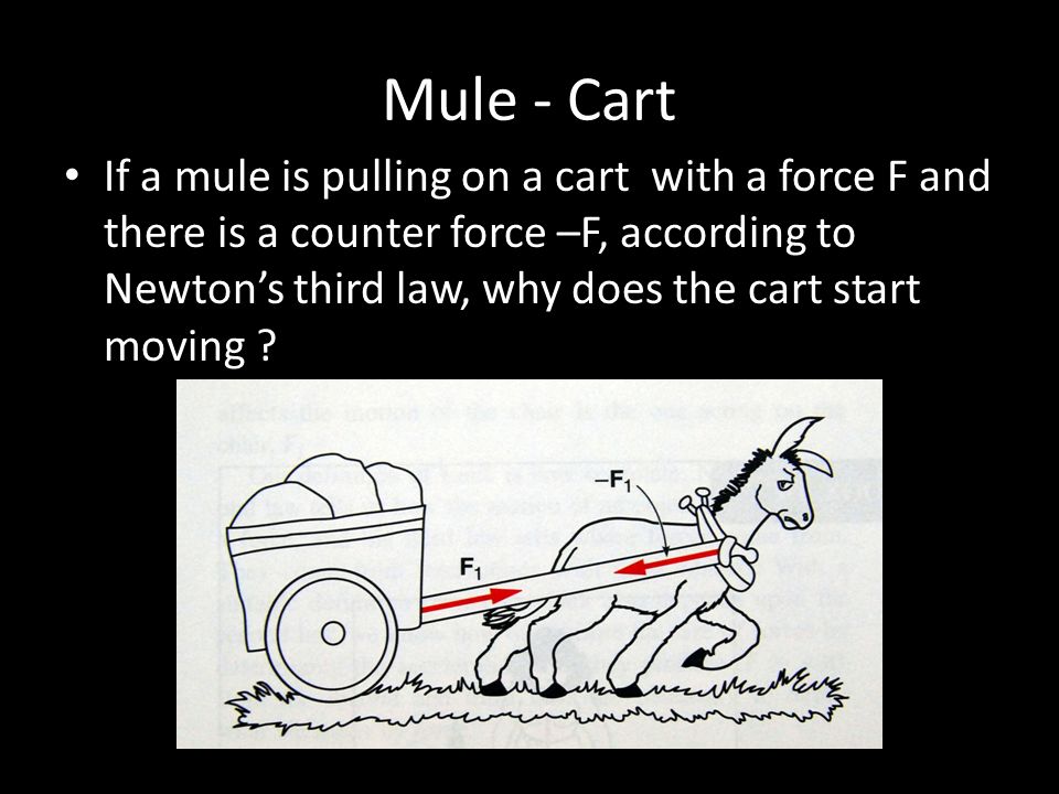 Mule - Cart If a mule is pulling on a cart with a force F and there is a counter force –F, according to Newton’s third law, why does the cart start moving