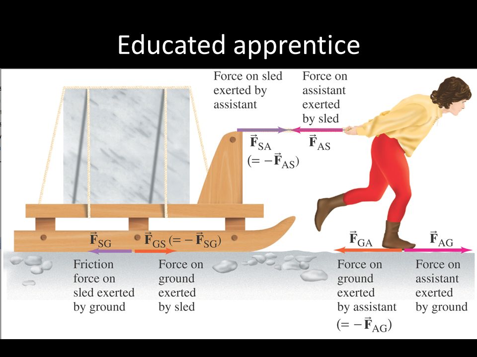 Educated apprentice
