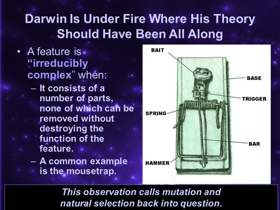 Darwin Is Under Fire Where His Theory Should Have Been All Along A feature is irreducibly complex when: –It consists of a number of parts, none of which can be removed without destroying the function of the feature.