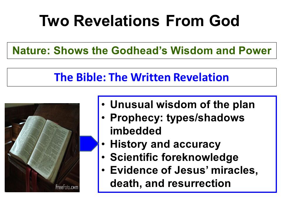 Two Revelations From God Nature: Shows the Godhead’s Wisdom and Power The Bible: The Written Revelation Unusual wisdom of the plan Prophecy: types/shadows imbedded History and accuracy Scientific foreknowledge Evidence of Jesus’ miracles, death, and resurrection