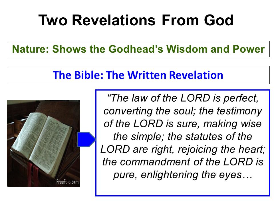 The law of the LORD is perfect, converting the soul; the testimony of the LORD is sure, making wise the simple; the statutes of the LORD are right, rejoicing the heart; the commandment of the LORD is pure, enlightening the eyes… Two Revelations From God Nature: Shows the Godhead’s Wisdom and Power The Bible: The Written Revelation