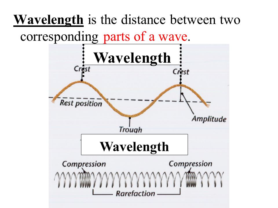 Wavelength is the distance between two corresponding parts of a wave. Wavelength