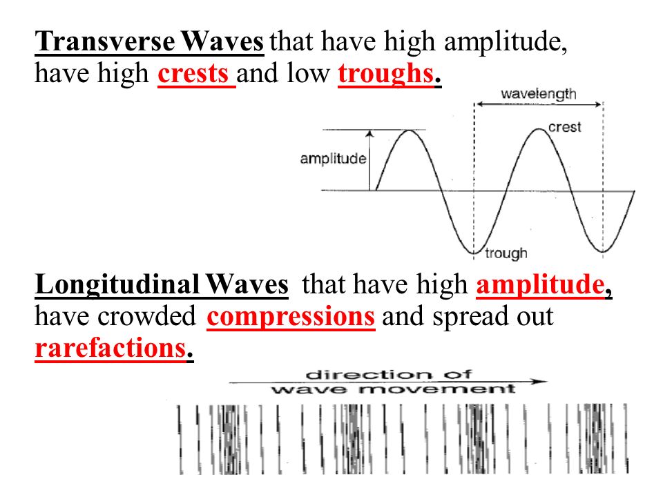 Longitudinal Waves that have high amplitude, have crowded compressions and spread out rarefactions.