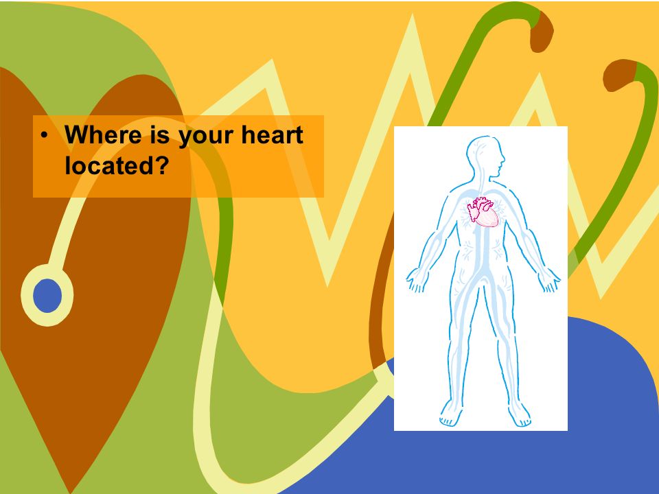 Where is your heart located