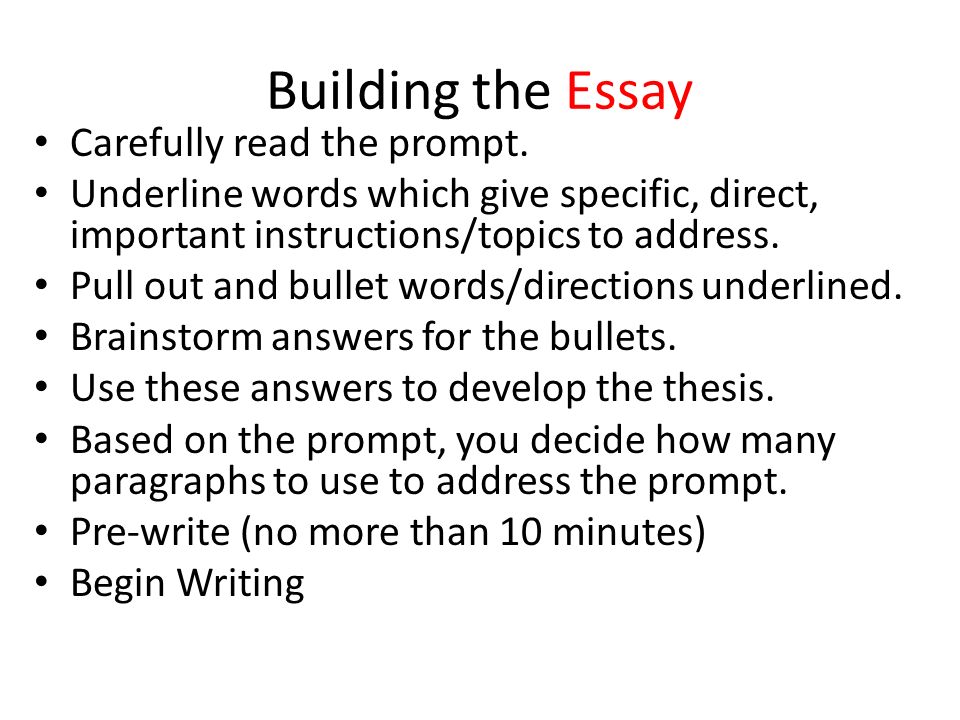 Building the Essay Carefully read the prompt.