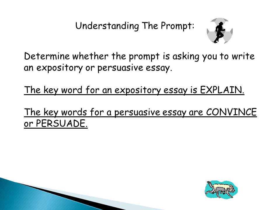 Determine whether the prompt is asking you to write an expository or persuasive essay.