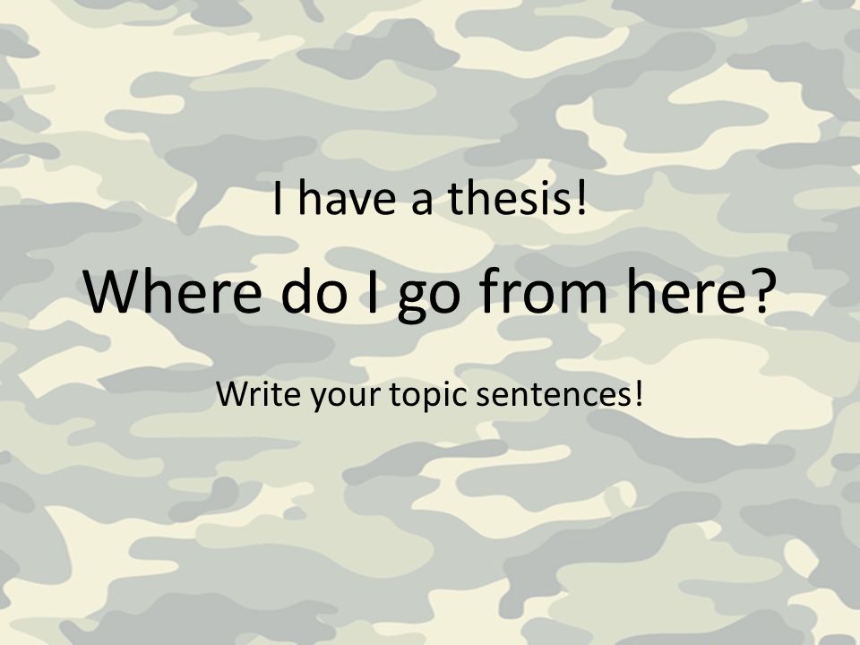 The Thesis Statement What is it really.