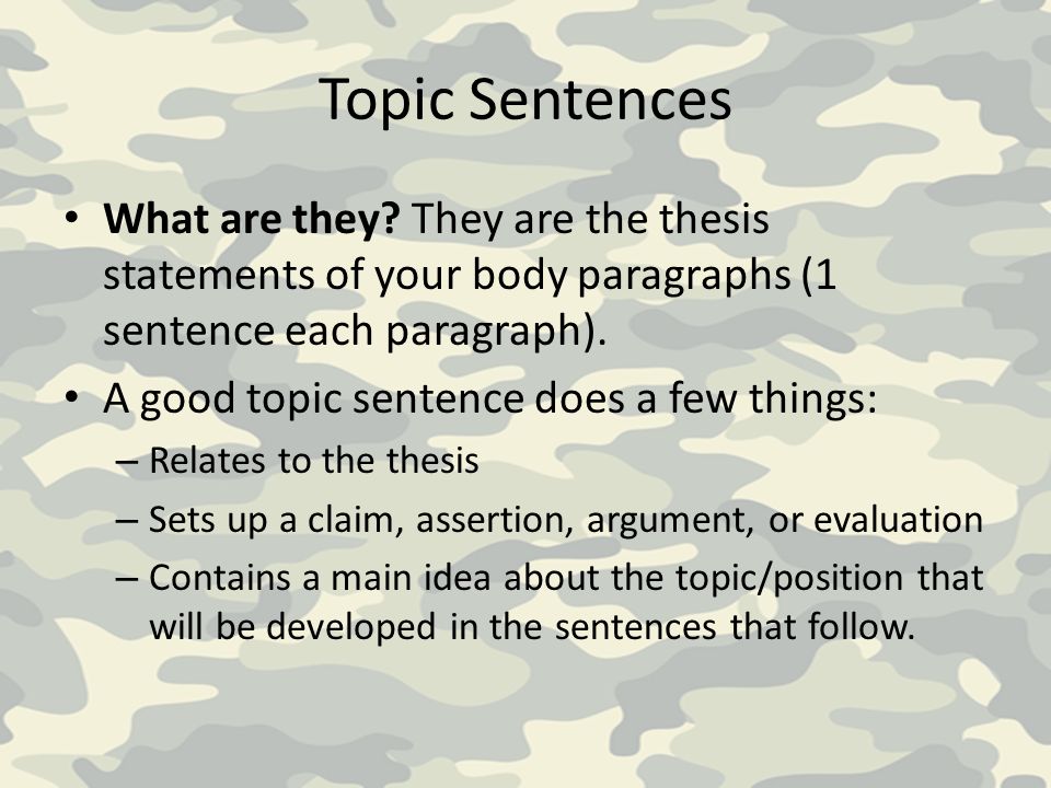 I have a thesis! Write your topic sentences! Where do I go from here