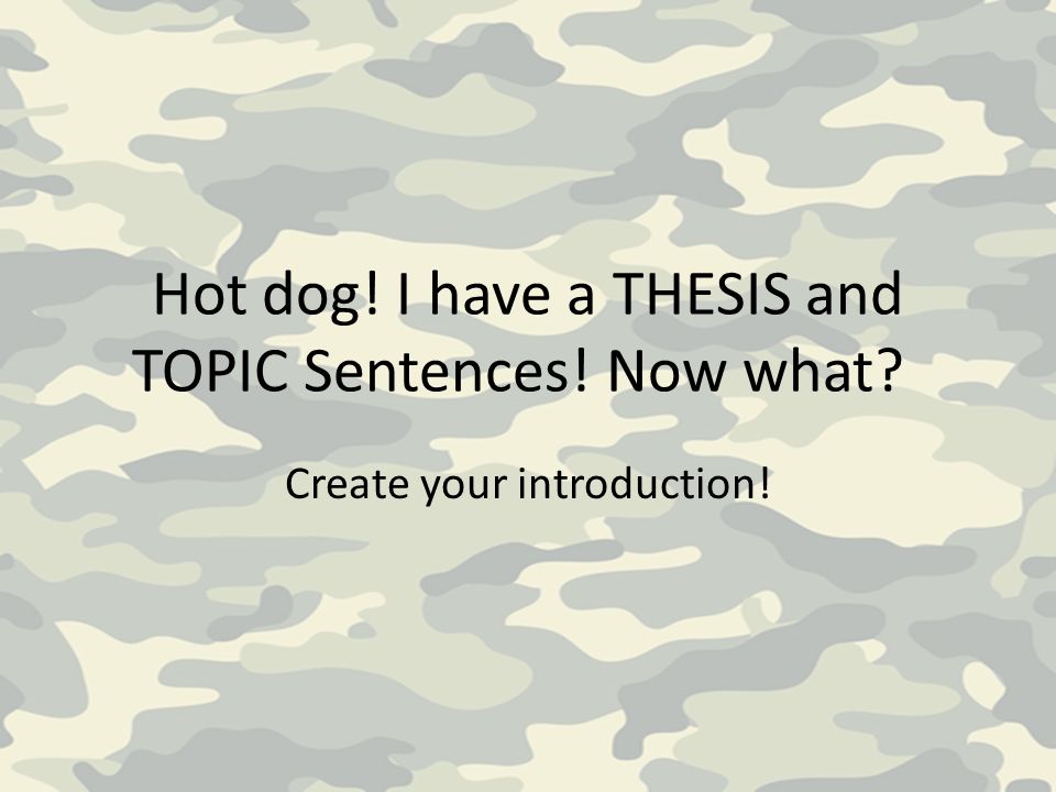 Topic Sentences What are they.