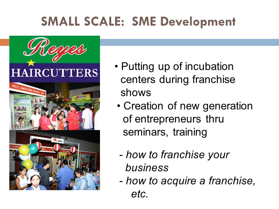 SMALL SCALE: SME Development Putting up of incubation centers during franchise shows Creation of new generation of entrepreneurs thru seminars, training - how to franchise your business - how to acquire a franchise, etc.