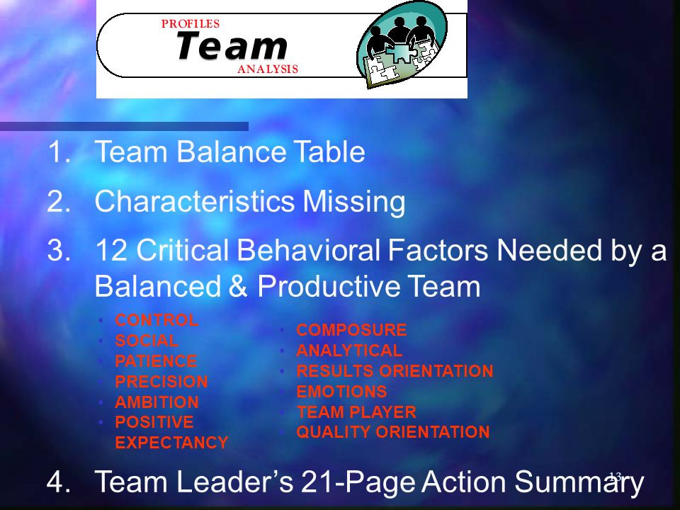 13 1.Team Balance Table 2.Characteristics Missing 3.12 Critical Behavioral Factors Needed by a Balanced & Productive Team 4.Team Leader’s 21-Page Action Summary CONTROL SOCIAL PATIENCE PRECISION AMBITION POSITIVE EXPECTANCY COMPOSURE ANALYTICAL RESULTS ORIENTATION EMOTIONS TEAM PLAYER QUALITY ORIENTATION
