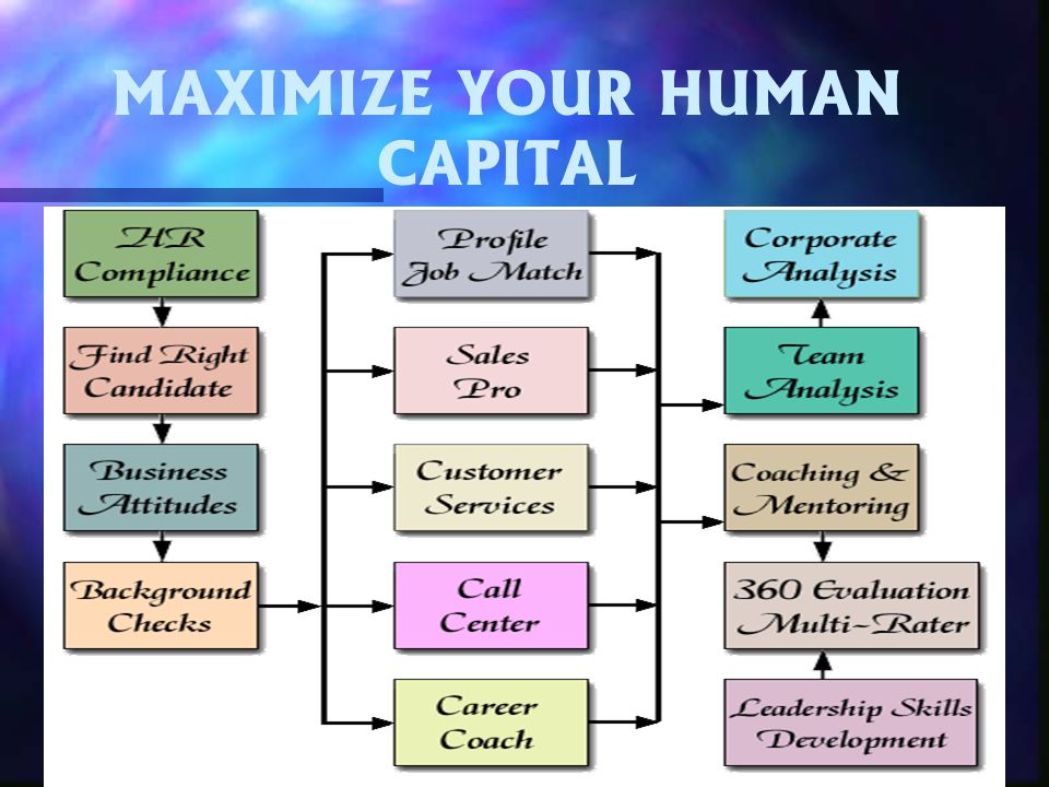 8 MAXIMIZE YOUR HUMAN CAPITAL