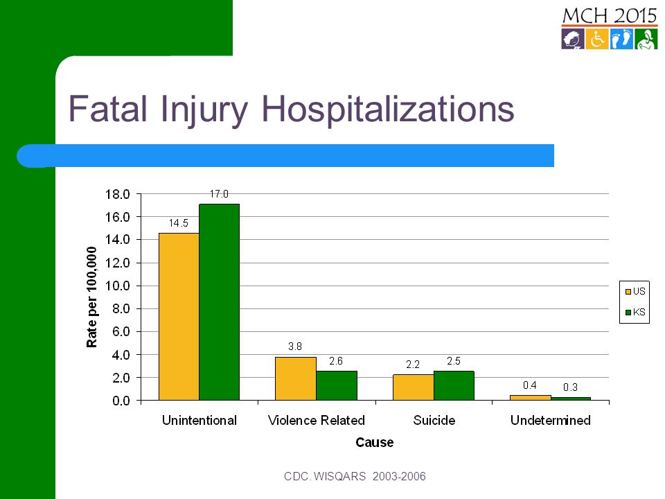 Fatal Injury Hospitalizations CDC. WISQARS
