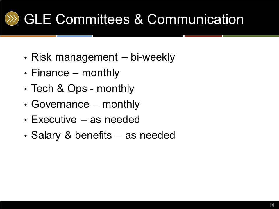 GLE Committees & Communication Risk management – bi-weekly Finance – monthly Tech & Ops - monthly Governance – monthly Executive – as needed Salary & benefits – as needed 14