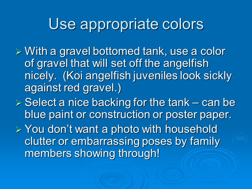 Use appropriate colors  With a gravel bottomed tank, use a color of gravel that will set off the angelfish nicely.